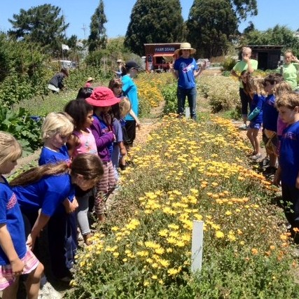 Youth volunteer opportunities at the Farm in Santa Cruz