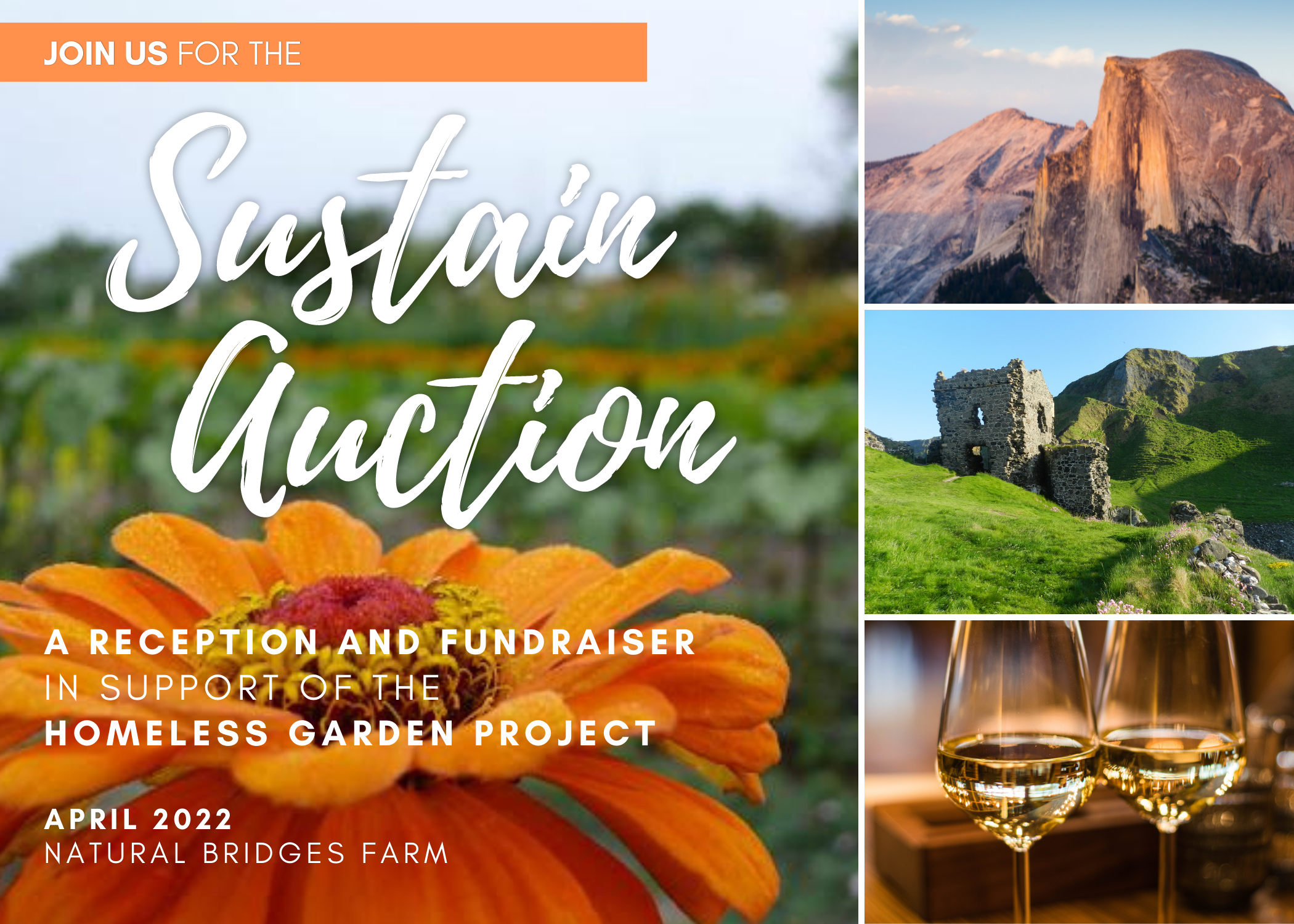 Sustain Auction